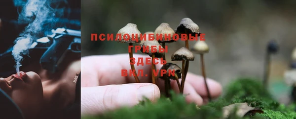 мет Верея