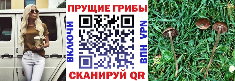 Галлюциногенные грибы прущие грибы  kraken зеркало  Лысьва  продажа наркотиков 