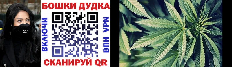магазин Лысьва МАРИХУАНА индика